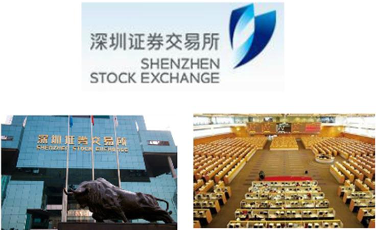 股票基础知识培训资料,股票的基础知识培训