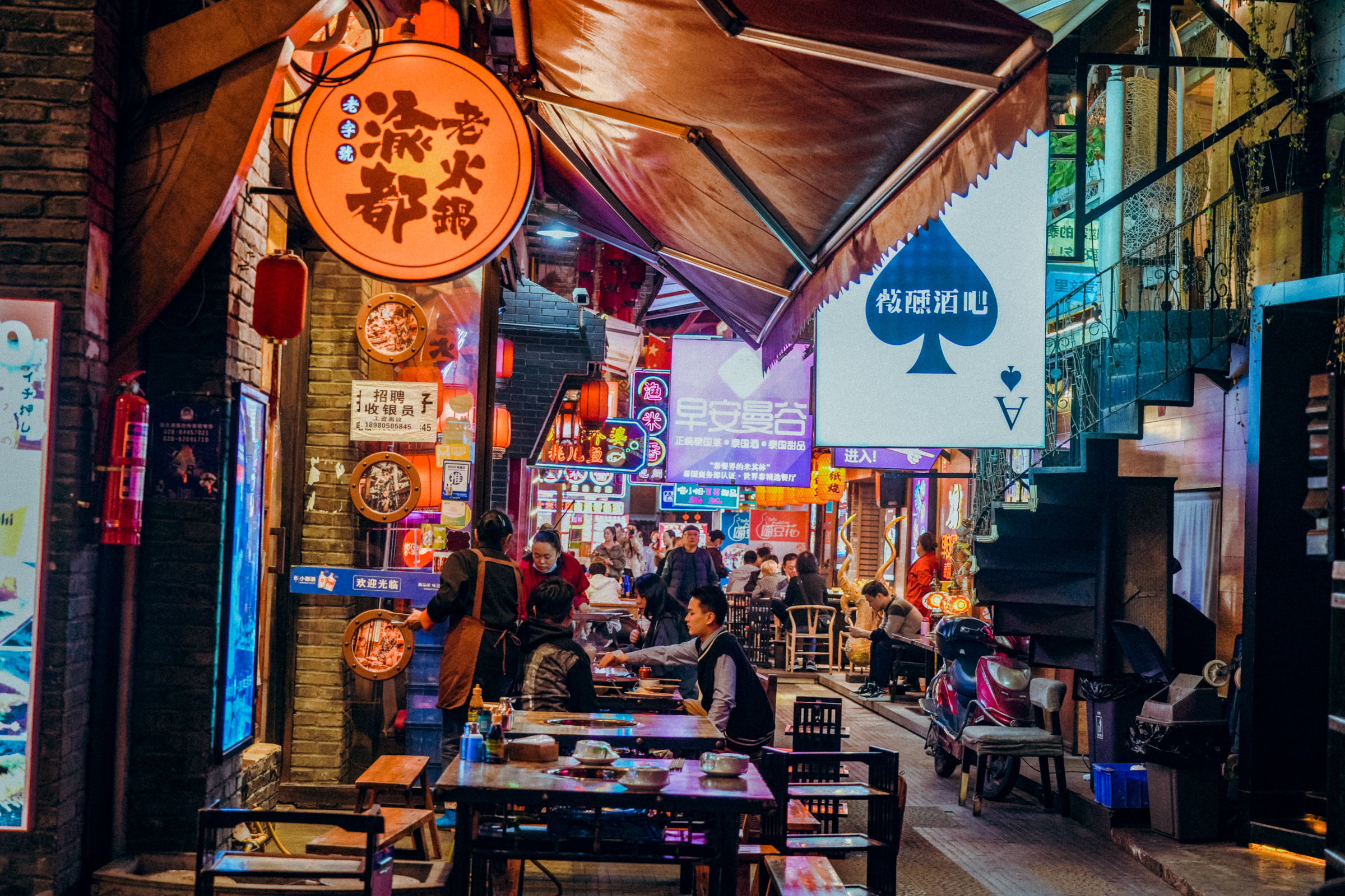 成都酒店大熊猫一日游,成都大熊猫繁育研究基地游玩攻略