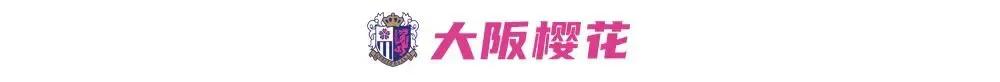 日本j联赛球队名字,日本足球j联赛成绩及排名