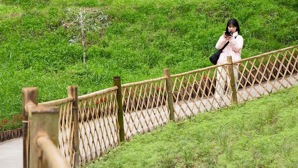 【谁不说咱家乡美】美丽中国，“乡”约万安（河西片）