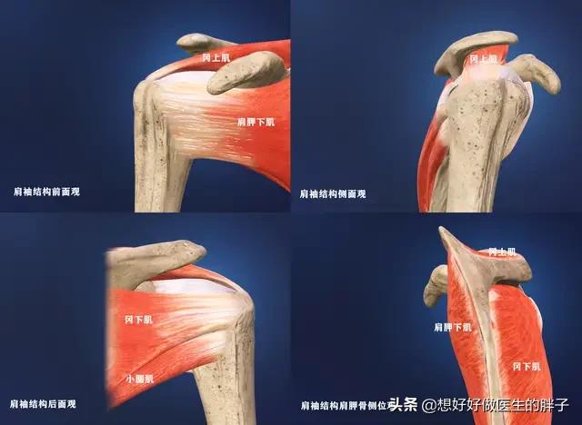 左肩疼痛是什么病的预兆,左肩疼痛要警惕什么病