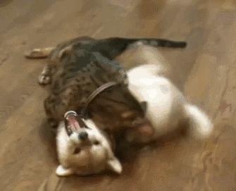 注销的微信账号是什么样的,注销微信账号要注意什么