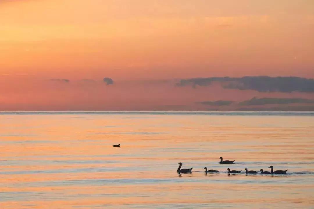 最美的中国色都在这些诗词里,中国最美景色古诗词