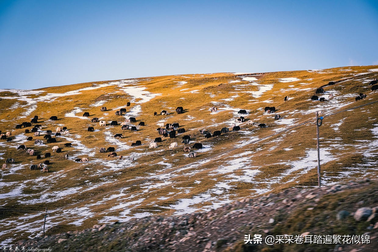 独库公路开放后游玩攻略,独库公路开放前旅游攻略