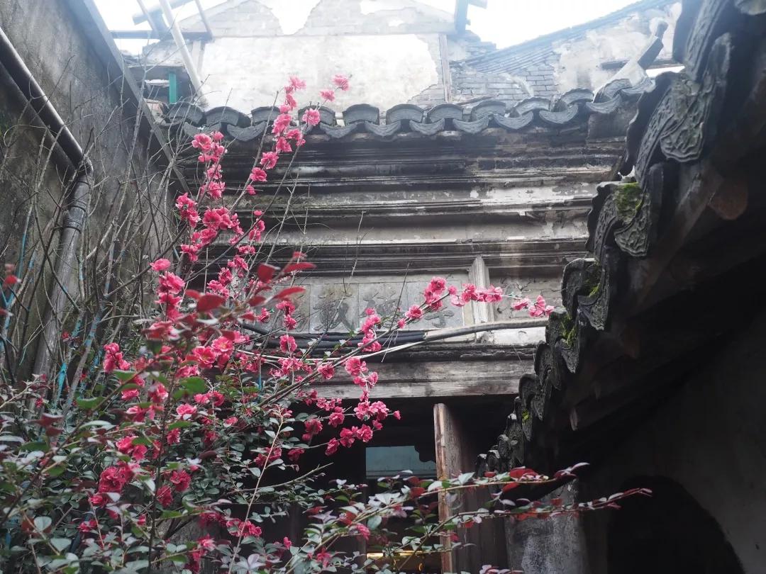 上海市民一日游最佳攻略,上海市民修身行动阅读