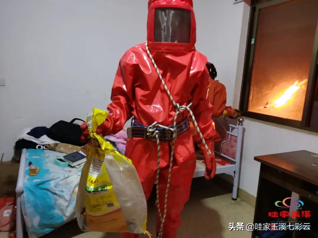 树洞惊现马蜂窝消防员火攻摘除,马蜂窝扰民消防处置