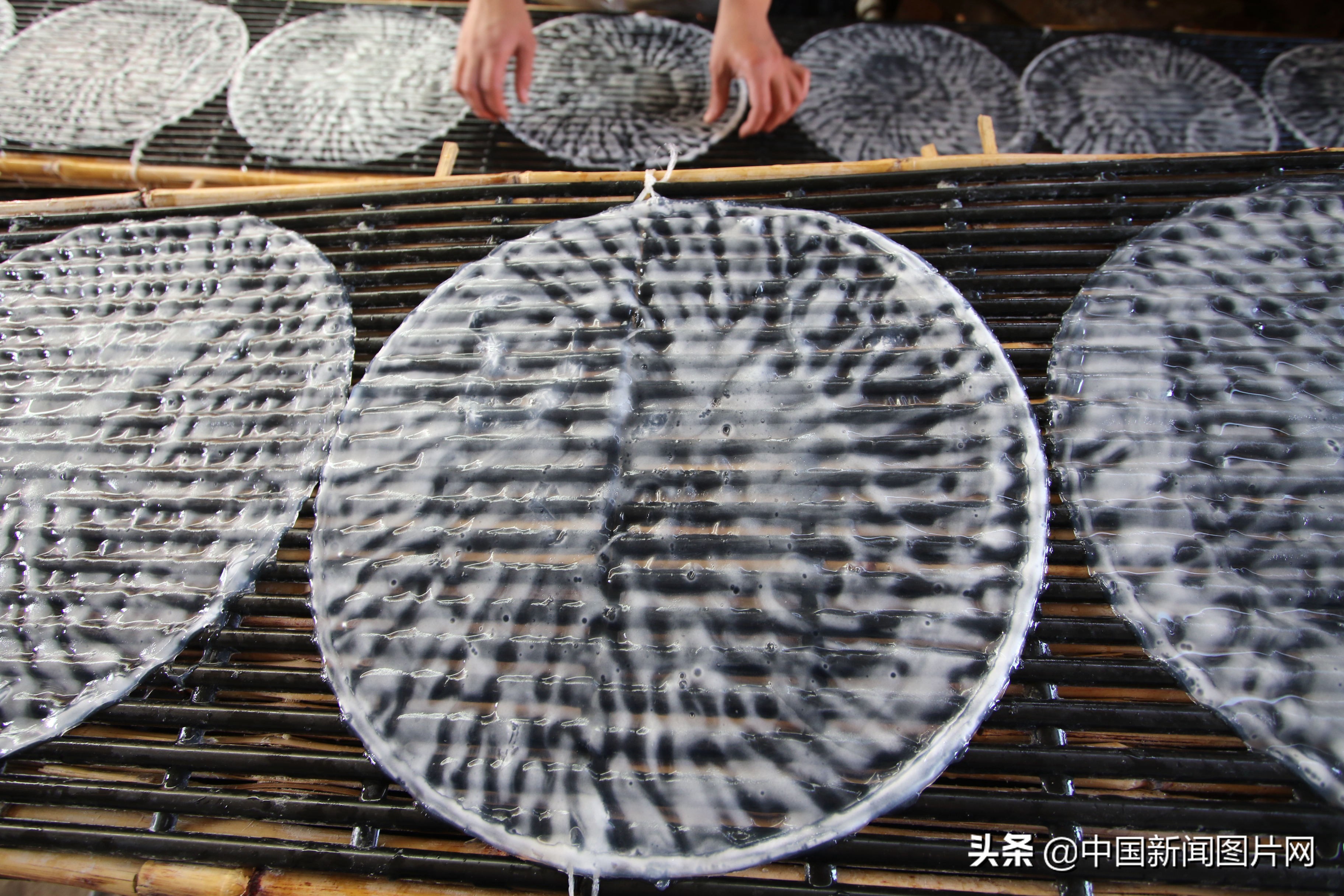 黄县手工粉皮现做现卖,粉皮加工厂致富项目