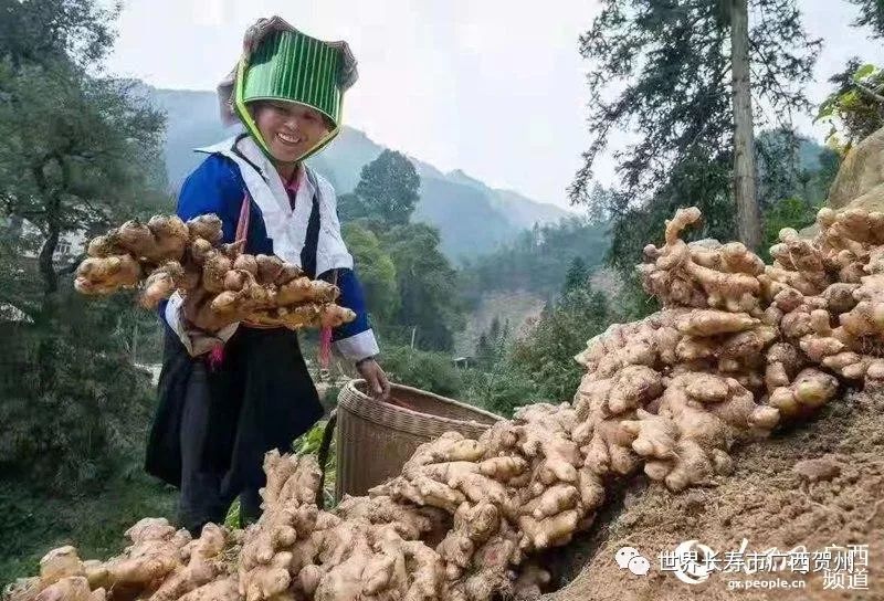 走出大山天地宽歌曲,走出大山天地宽山歌
