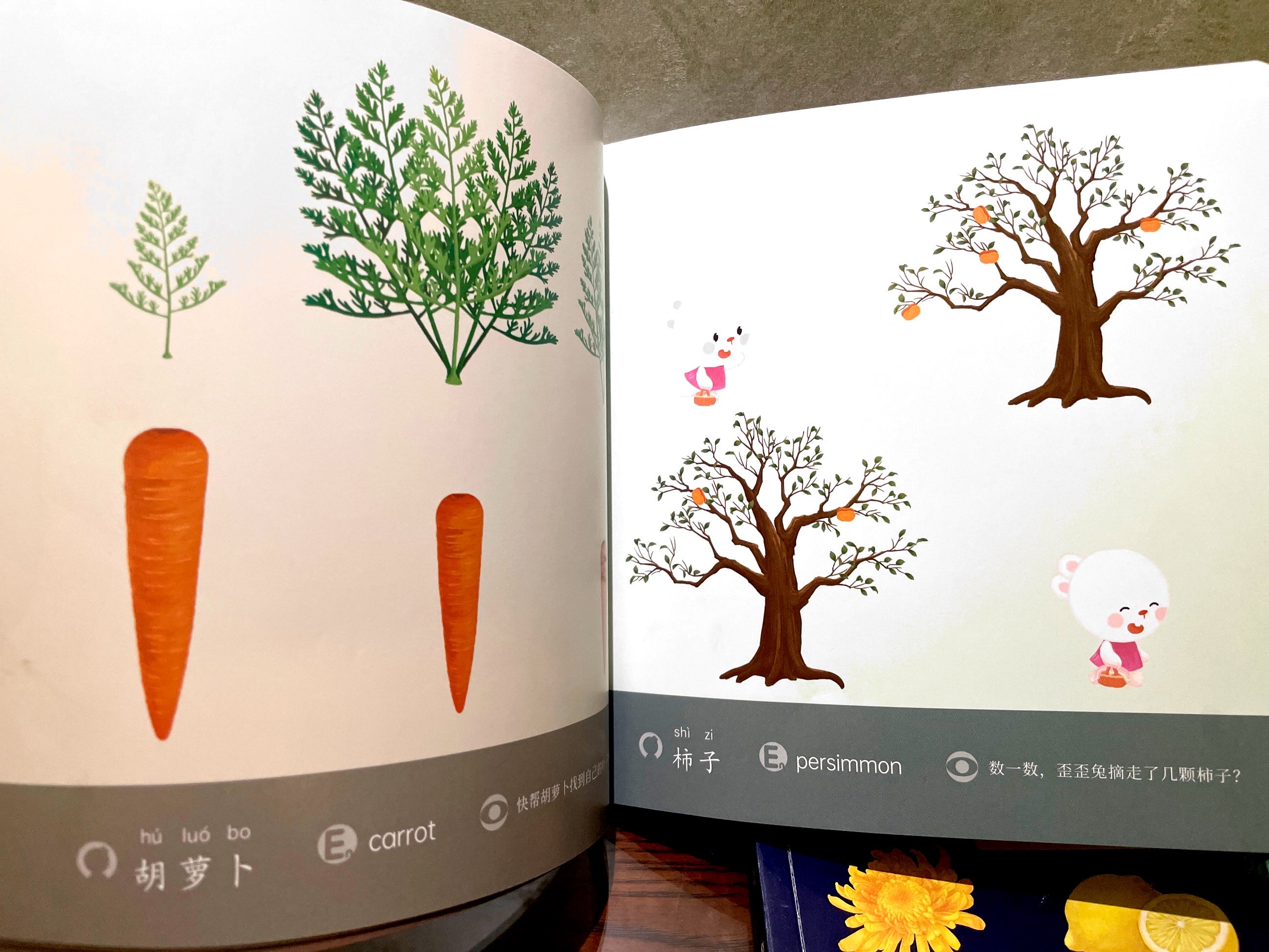 犹太人的智慧和教育方法,犹太人的早教