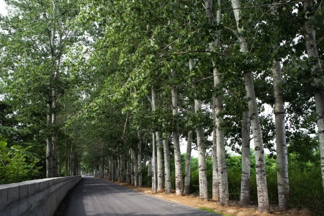 哪凉快哪呆着去绝对是真理,寿光风景优美的地方