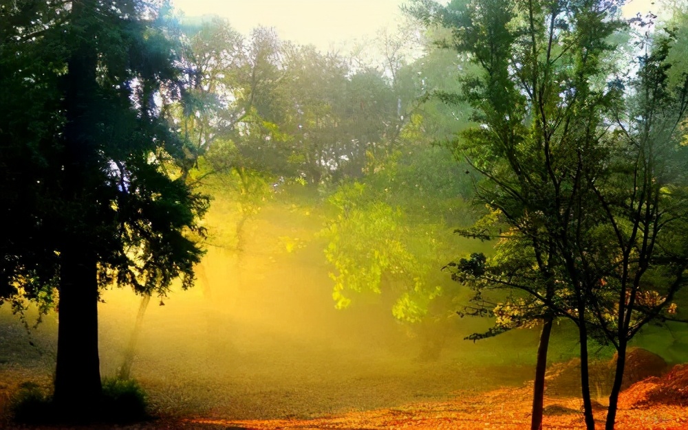 老婆对我死心了该怎样挽回,老婆对自己死心了该怎么挽回