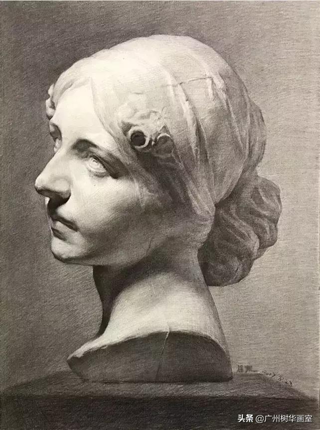 石膏头像大卫素描教程步骤,素描石膏鼻子的步骤入门