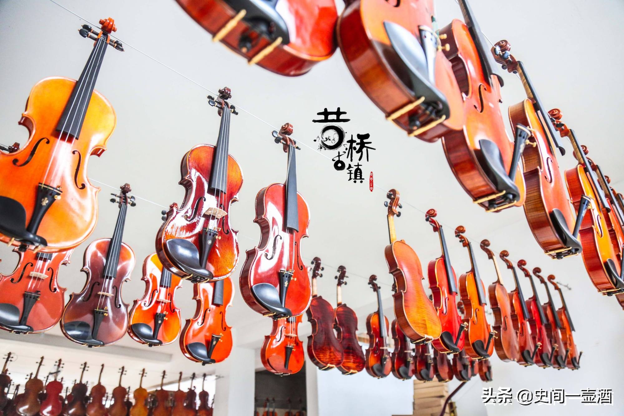 江苏邳州市银杏之乡,银杏之乡江苏泰兴