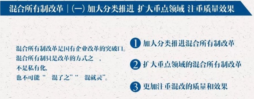 鍥芥湁浼佷笟骞惰喘绉佷紒鏂规,鍥芥湁浼佷笟骞惰喘鎴樼暐