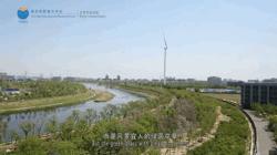 怎样养成牛娃,多才多艺的牛娃