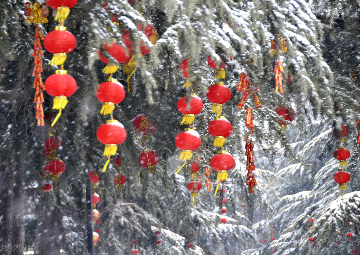 大智慧走势预测,大智慧预判