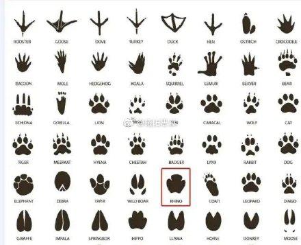 阿里巴巴c2m最新信息,阿里c2m发布会