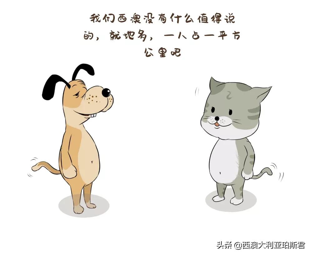 这个梗火爆全网？既然提到privilege，那就说说西澳人的高傲在哪