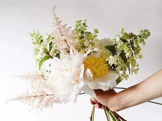 每日送花花语,花语大全送花的讲究