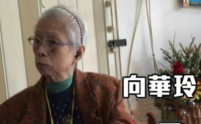 向华胜向华强同母异父,向华强和向华炎