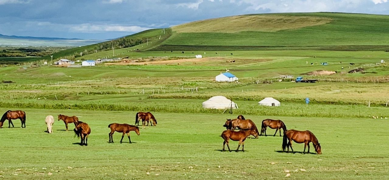 盛夏之旅美丽呼伦贝尔 (呼伦贝尔金秋之旅)