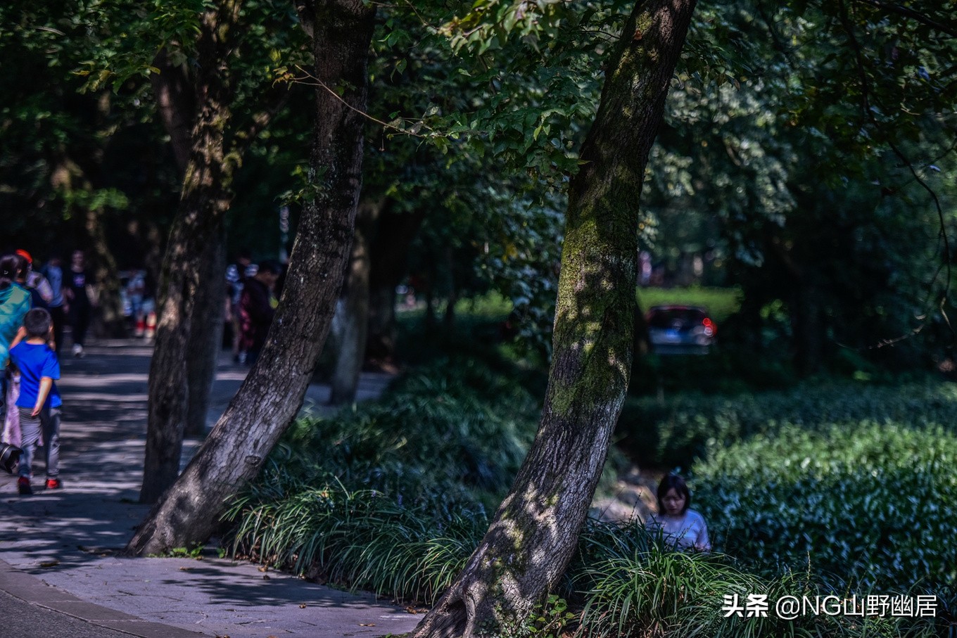 杭州九溪秋色最佳时间,杭州西湖九溪秋天几月份好看