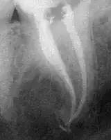 上海雅悦齿科,雅悦齿科医院简介