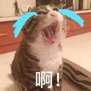 去澳门购物不能超过多少钱,去澳门买什么东西比较实惠安全