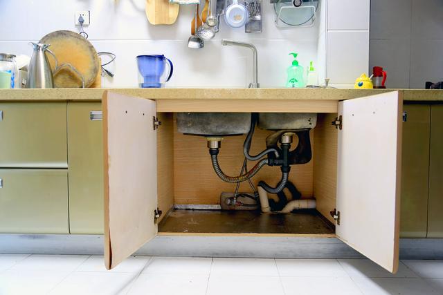 厨余垃圾处理器助你解决厨房垃圾,垃圾处理器要定期清理吗