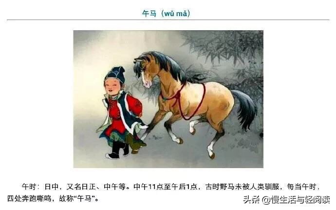 慢生活轻阅读,慢生活轻小说全集