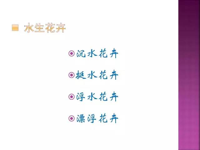 花卉大全500种观叶植物名称,1332种常见花卉植物图谱