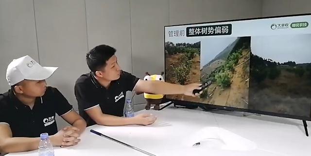 如何靠种柑橘发家致富,种柑橘增加收益的十条建议