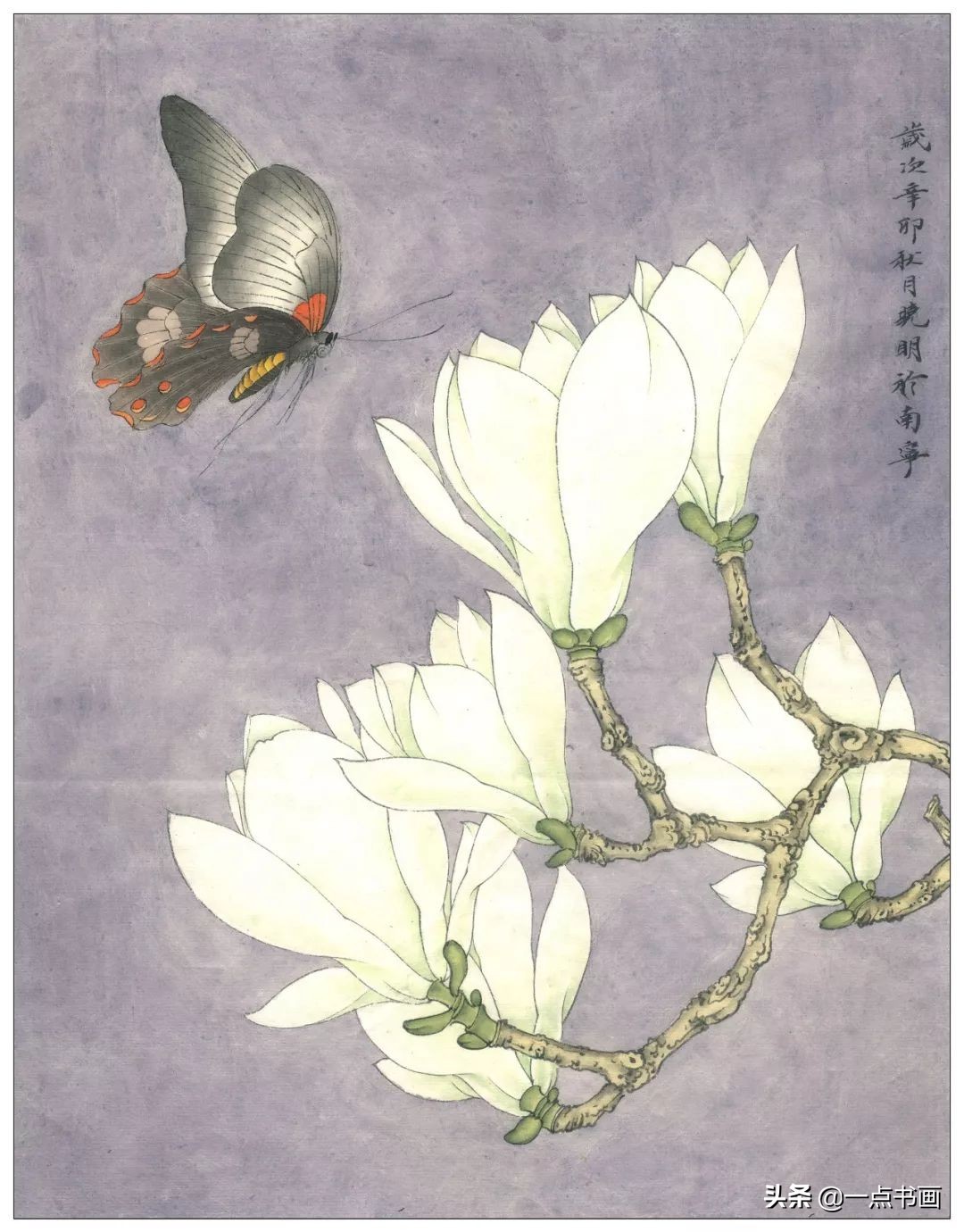玉兰蝴蝶工笔绘制示范,玉兰蝴蝶工笔画上色步骤