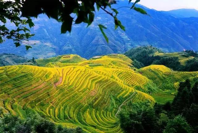 带有收藏的成语,成语归纳给孩子收藏吧