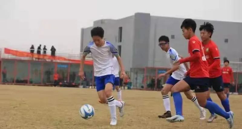 2019年全国校园足球特色学校名单,蜀山区重点小学名单