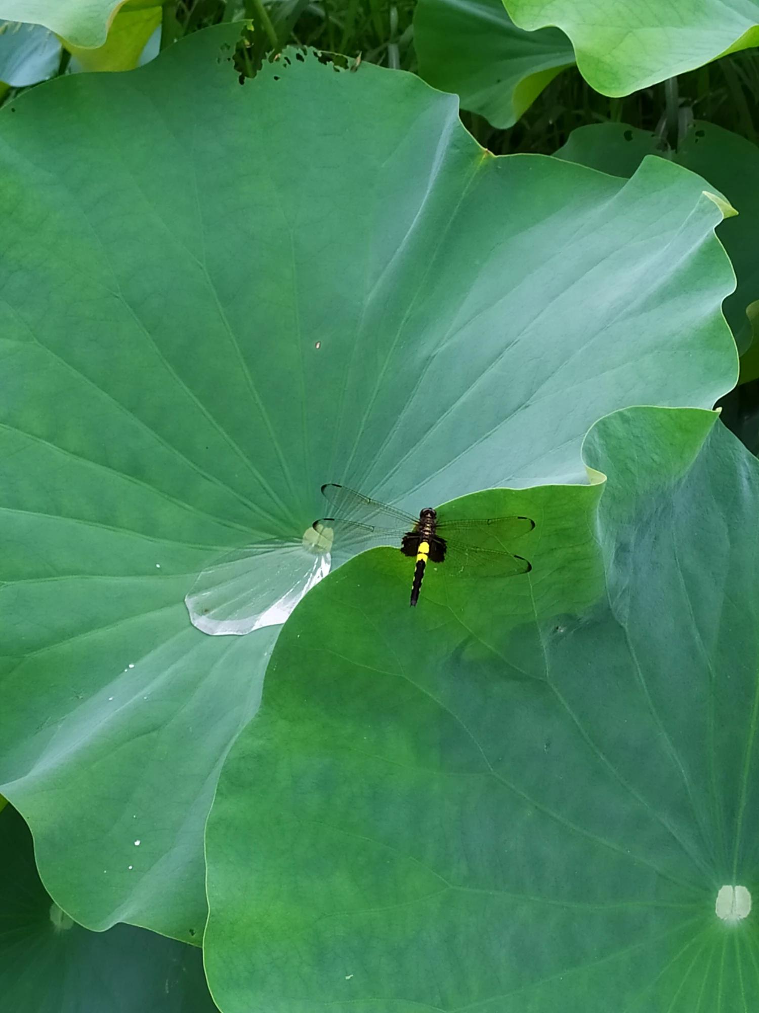 科学爱她,健康爱她