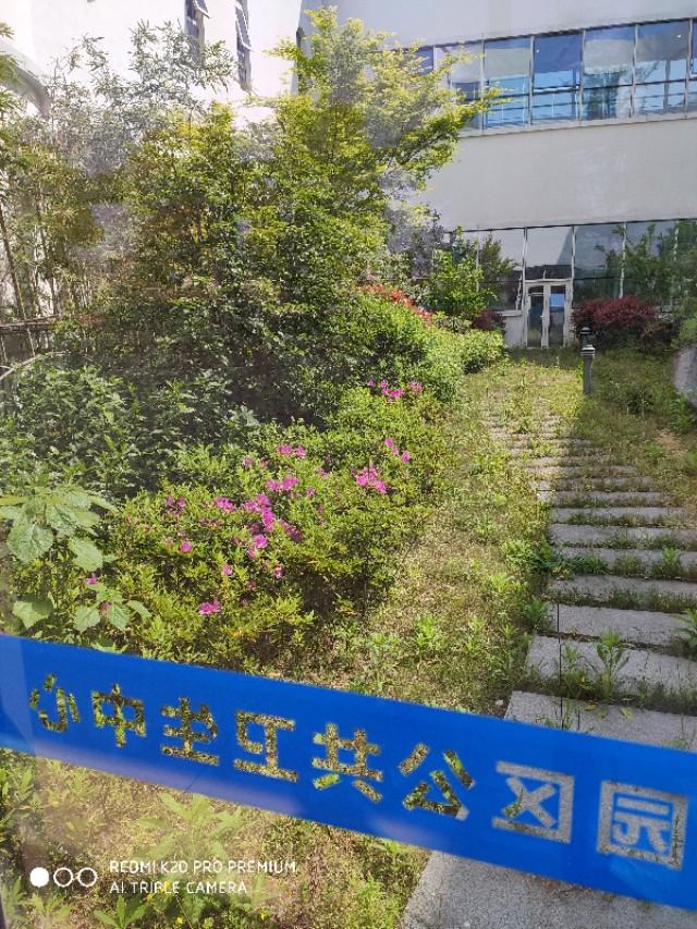 苏州苏城医院入职体检有哪些,苏滁医院入职体检