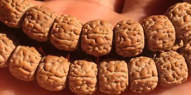 小金刚菩提子各种纹路图片,小金刚菩提的纹路有哪些