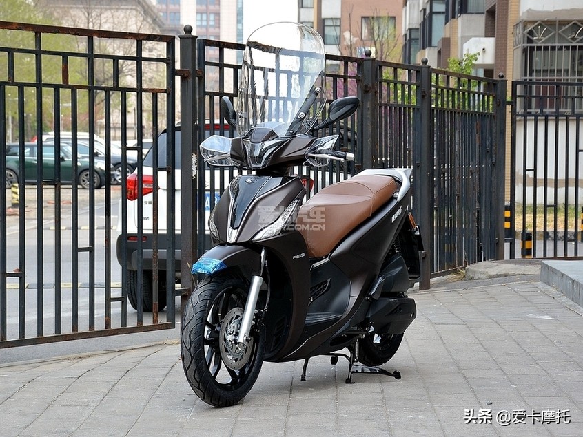 骑士的情人节,骑士情人节礼物