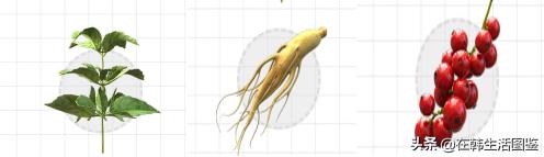 韩国小姐姐怎么护肤,怎样护肤才能get到弹嫩水光肌