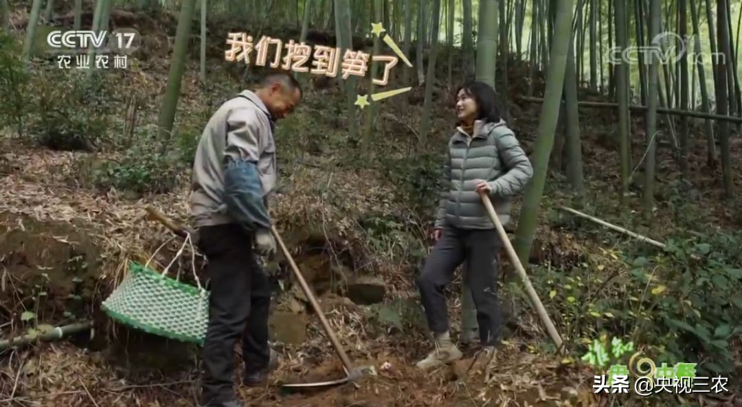 五星级大厨教你冬笋怎么没有涩味,冬笋去除涩味凉水下锅还是开水