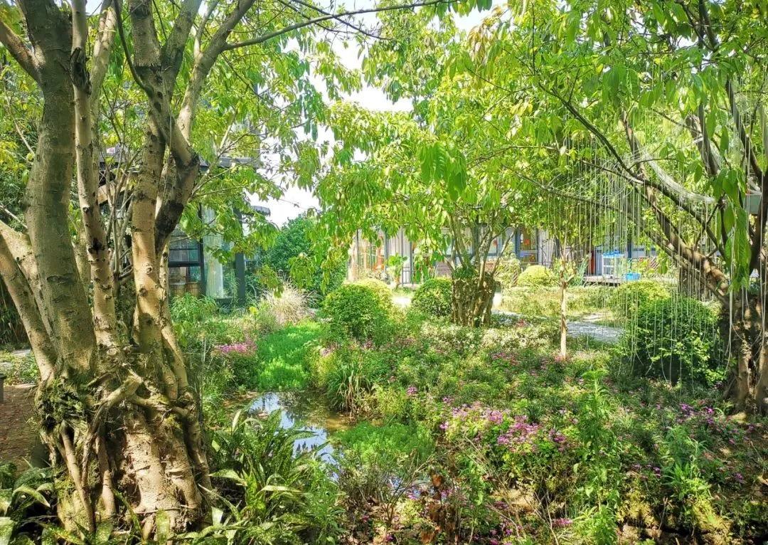 五一小众宝藏旅行地成都周边,成都旅行打卡地