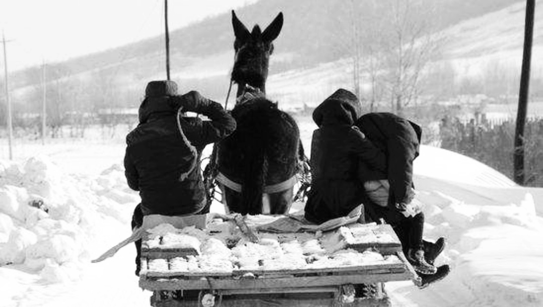 南坡村最近发生的事,南坡事件是怎么回事