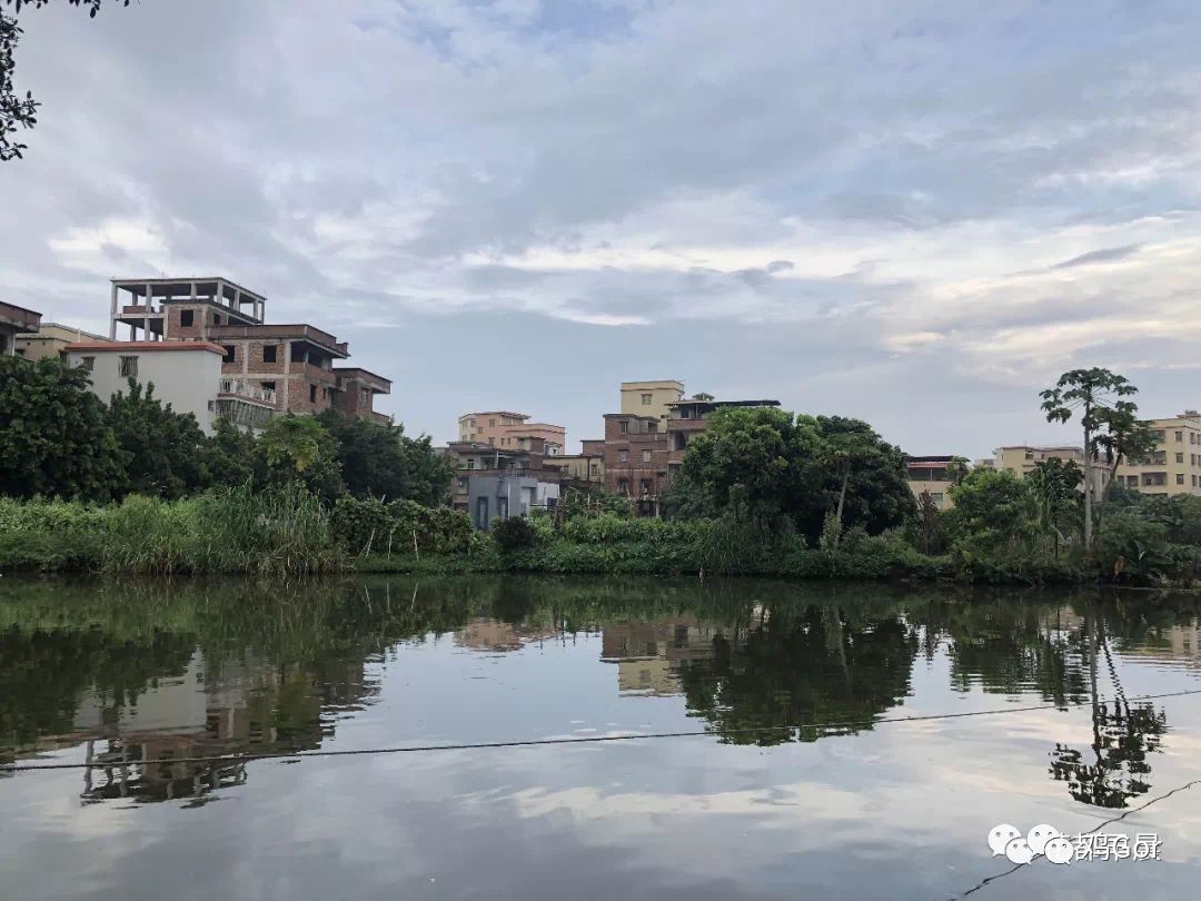 花都东镜村旧改2023计划,花都旧改重点