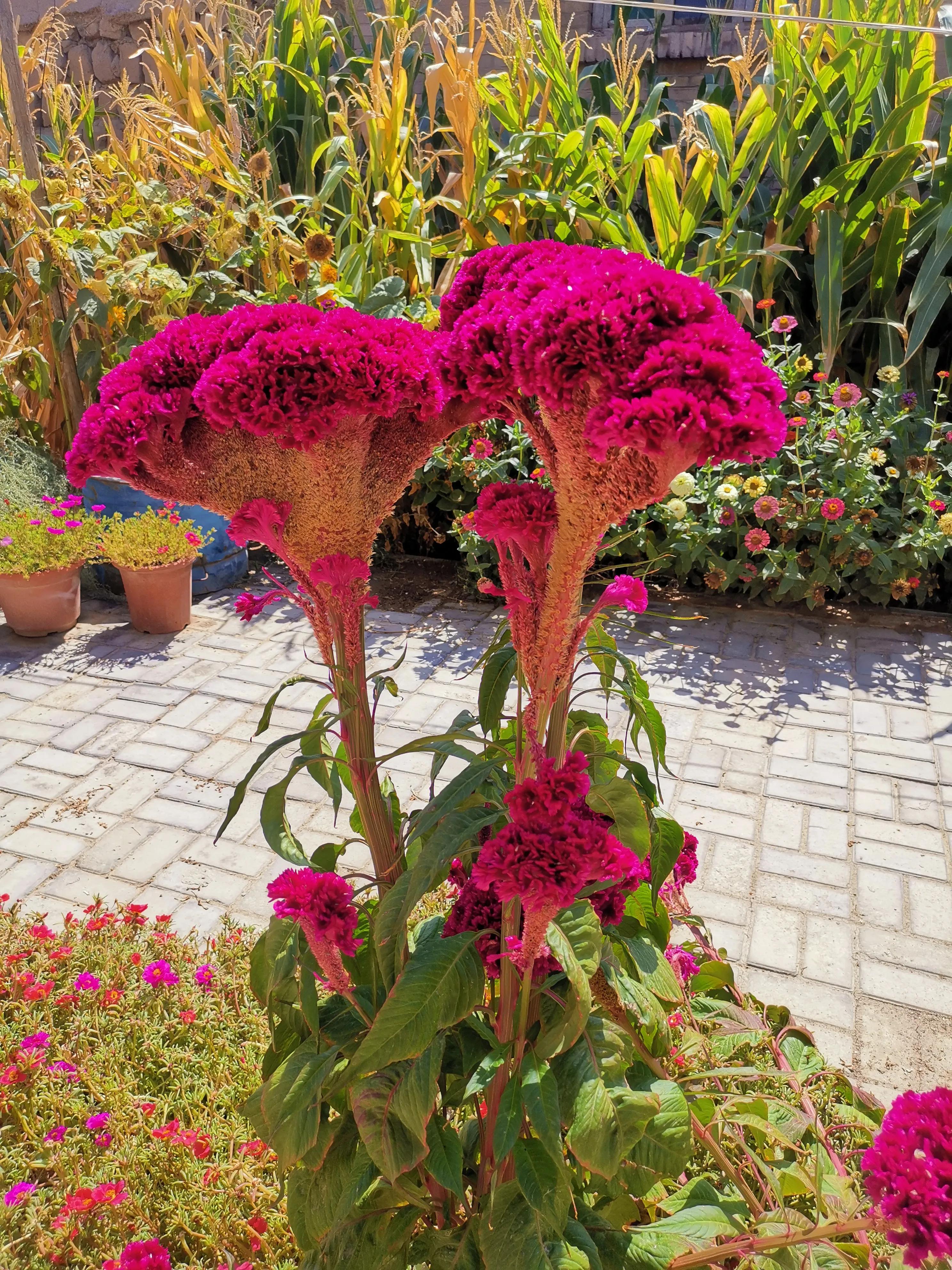 记忆模糊的三年,记忆回到三年前