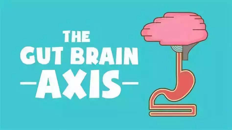 让人着迷的东西,微生物脑肠轴介绍