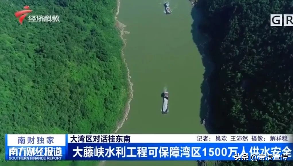 牛犇犇直播视频,牛犇直播人气