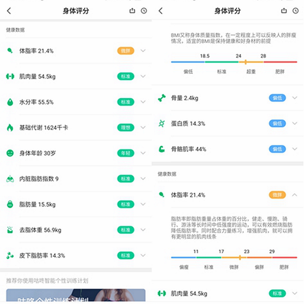 咕咚体脂秤减肥,小魔瘦体脂秤怎么样