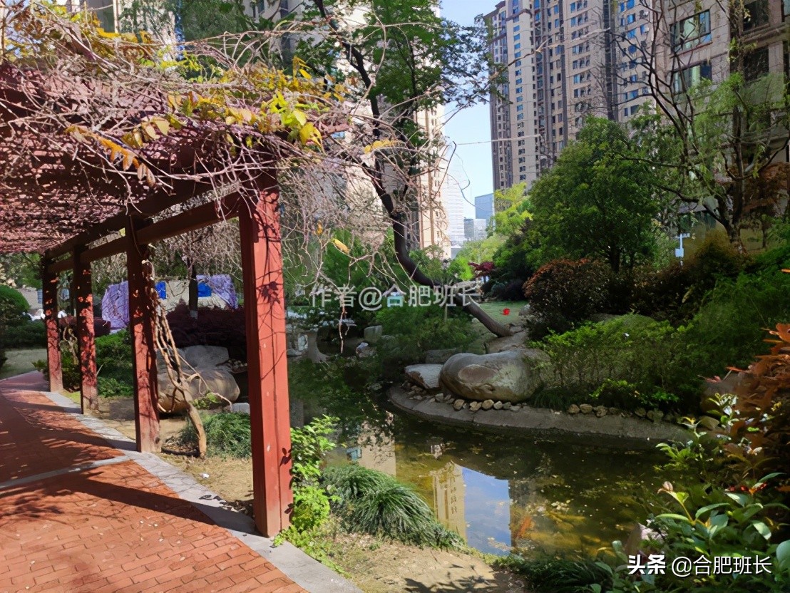 合肥滨湖新区四十六中附近,滨湖四十六中南校区有万科楼盘吗