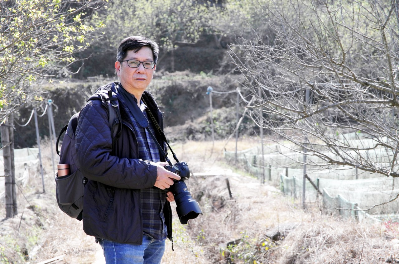 周煜创作的原声,周煜书法